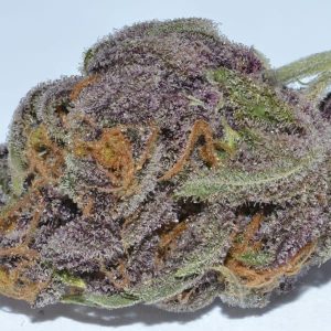 Buy Grand Daddy Purple in Rome