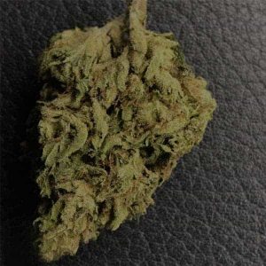 Buy OG Kush in Rome