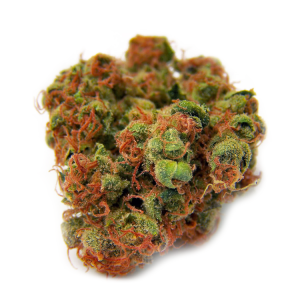 Buy Skywalker OG kush In Rome